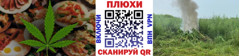 сколько стоит  Кедровый  Cannafood конопля 
