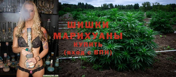 стафф Иннополис