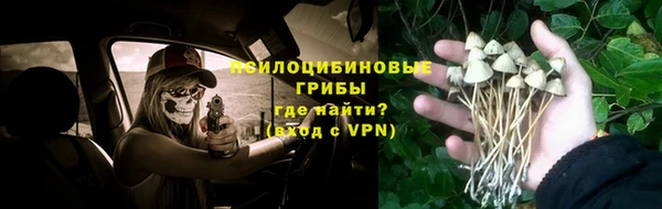 стафф Иннополис
