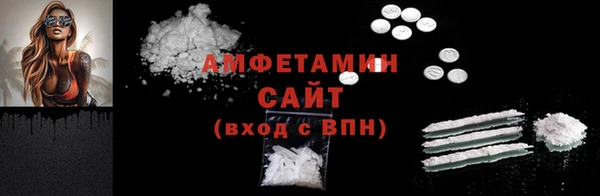 ГАЛЛЮЦИНОГЕННЫЕ ГРИБЫ Инсар