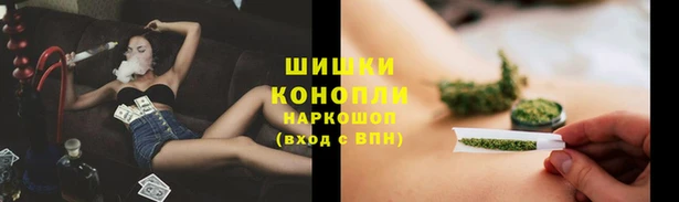 ГАЛЛЮЦИНОГЕННЫЕ ГРИБЫ Инсар