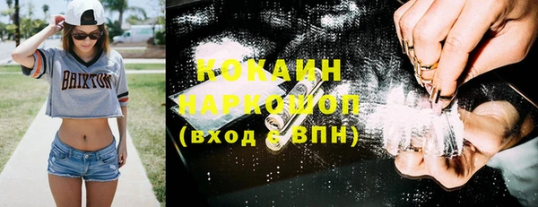 стафф Иннополис