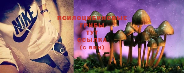 марки nbome Инта